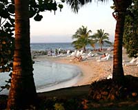 Jamaica photos, Jamaica pictures, gallery of Point Village resort